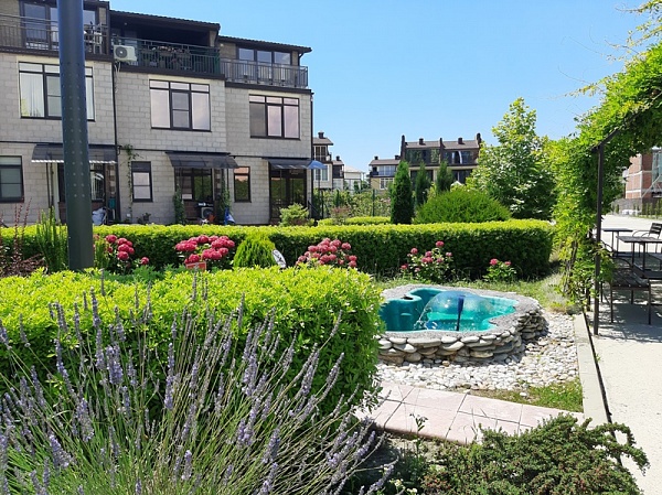 ТХ Тюльпановка